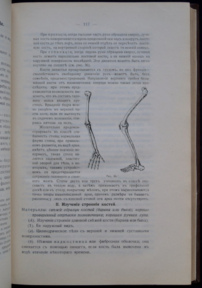 Практическая гигиена: наглядное руководство по санитарии для школы, семьи и профессий
