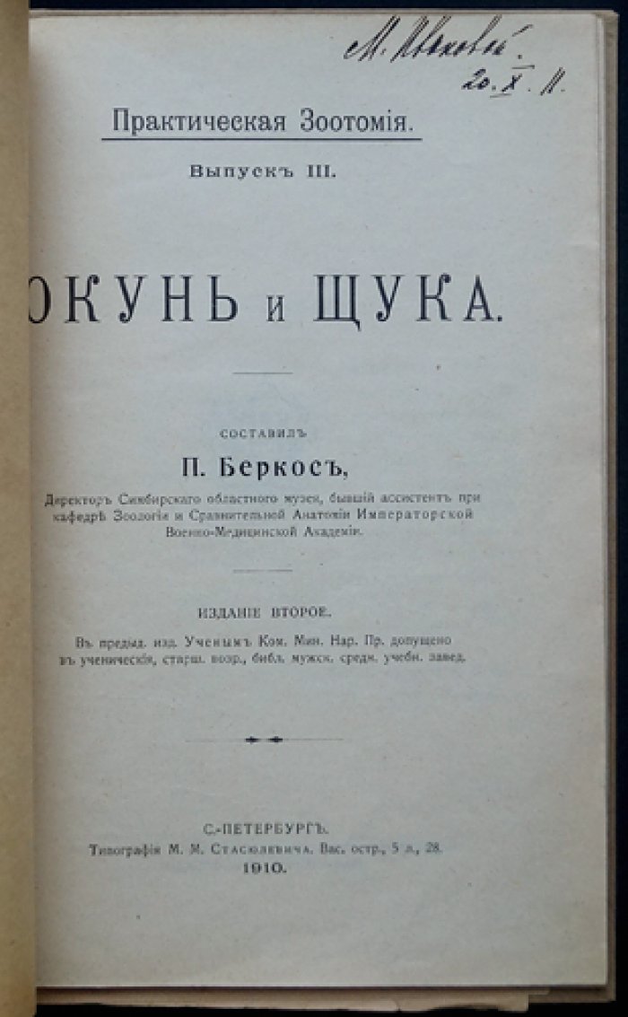 Окунь и щука: анатомия и строение (с атласом рисунков)