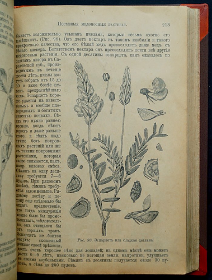 Пчела и пчеловодство: полный курс для начинающих (издание третье)