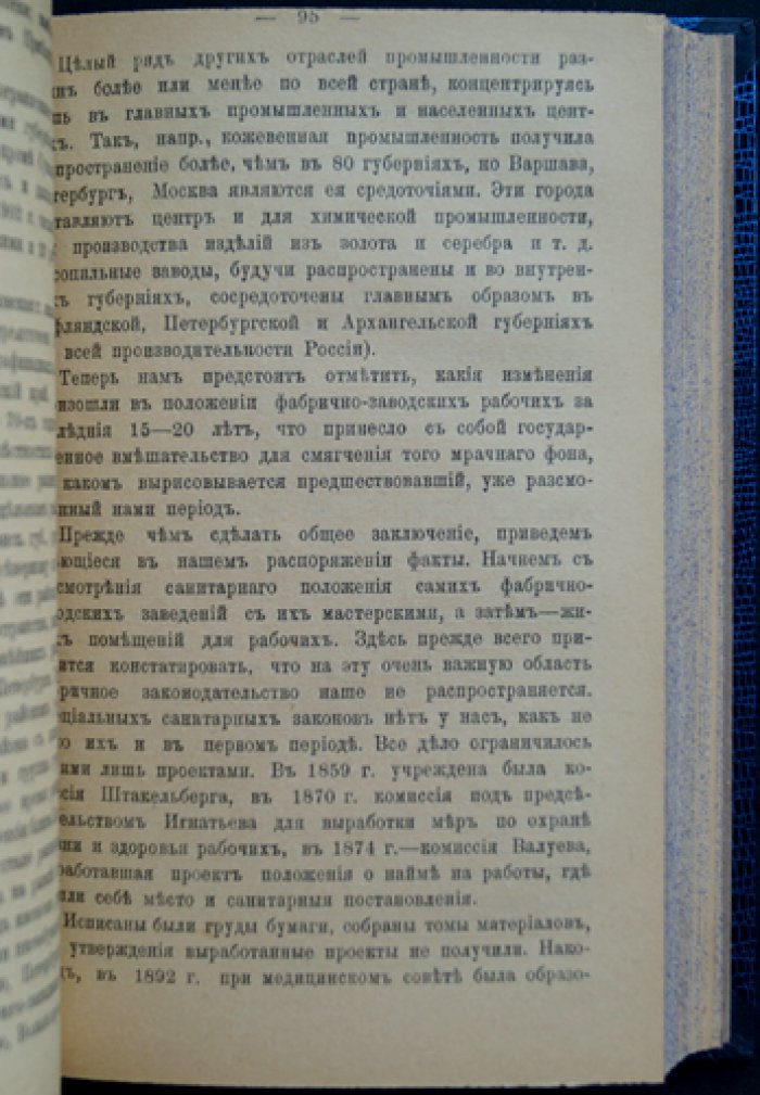 Положение рабочего класса в России (исследование по материалам фабричных инспекторов)