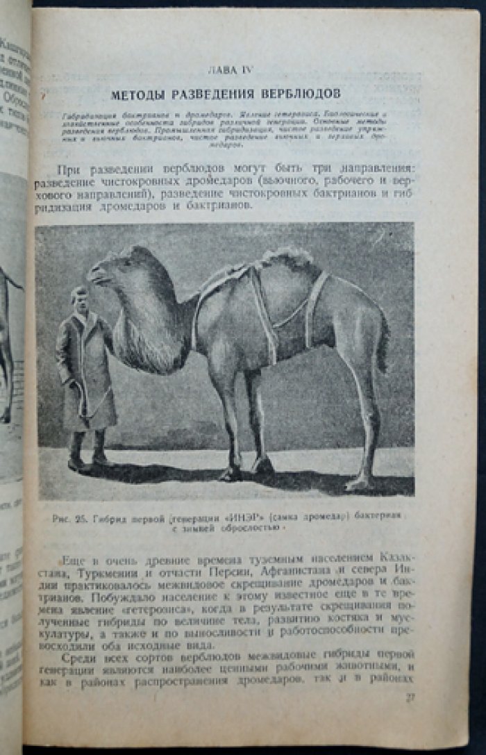 Верблюд и его эксплуатация (практическое руководство по содержанию и использованию) — Лакоза И.И.