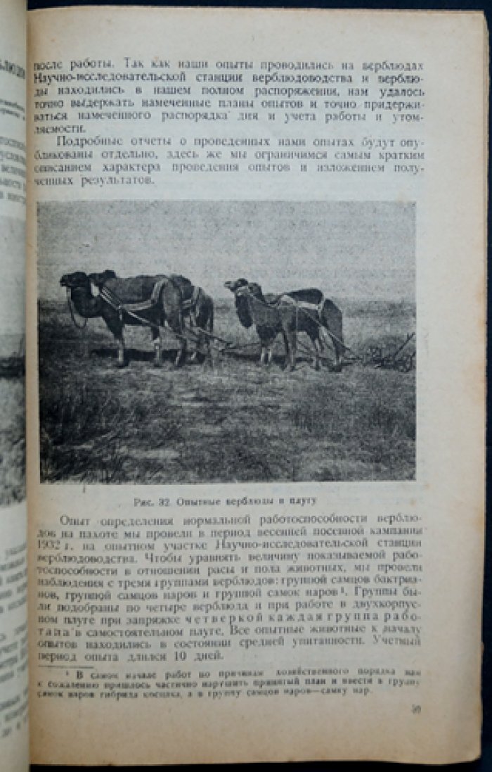 Верблюд и его эксплуатация (практическое руководство по содержанию и использованию) — Лакоза И.И.