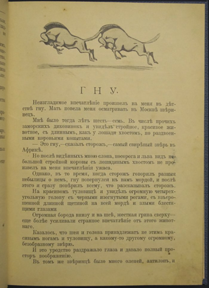 Животный мир Африки: рассказы о природе Африки (с иллюстрациями В. А. Ватагина)