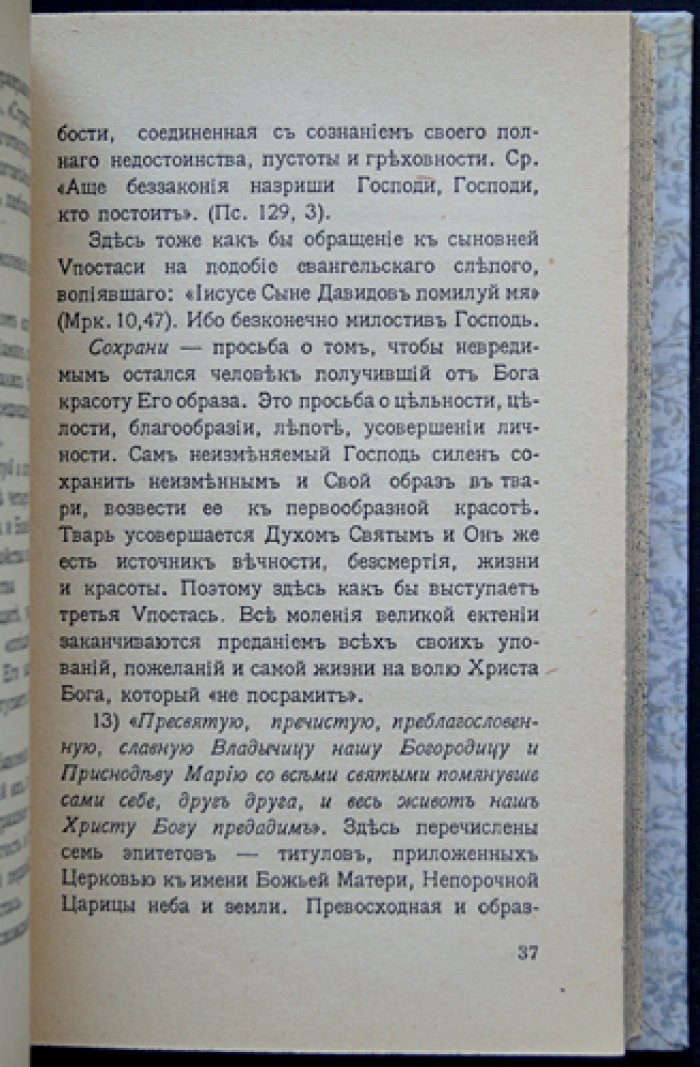 Ильин В.Н. Всенощное бдение: чинопоследование и место в православной богослужебной практике