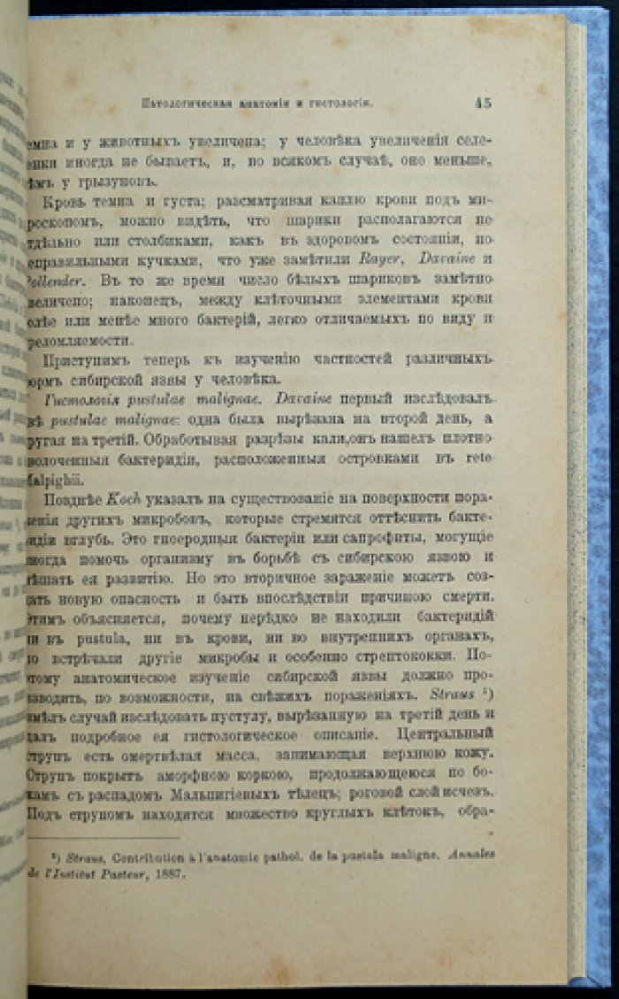 Заразные болезни, свойственные людям и животным