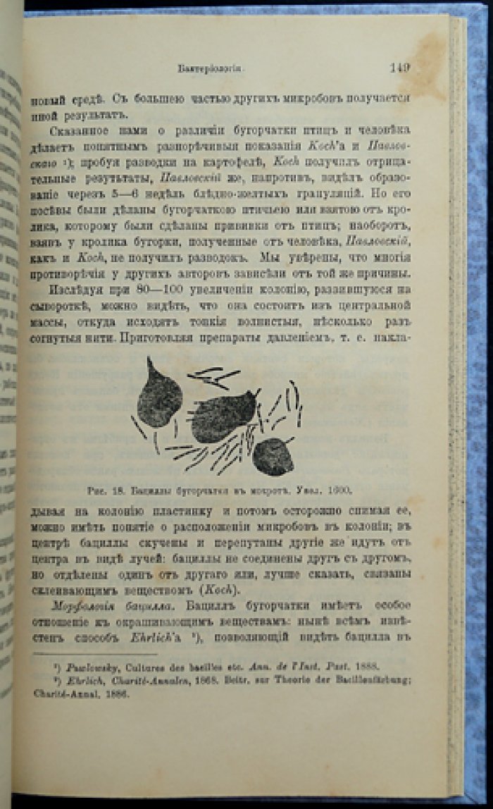 Заразные болезни, свойственные людям и животным