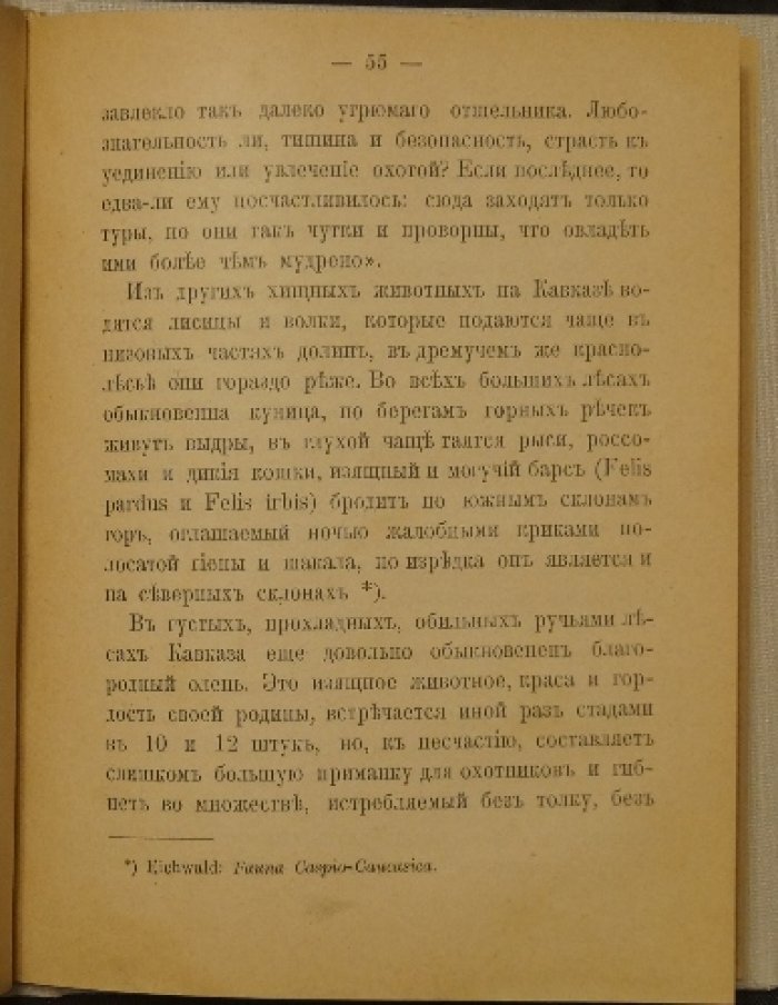 Кавказ. Природа и этнография (5-е исправленное издание, 1898)