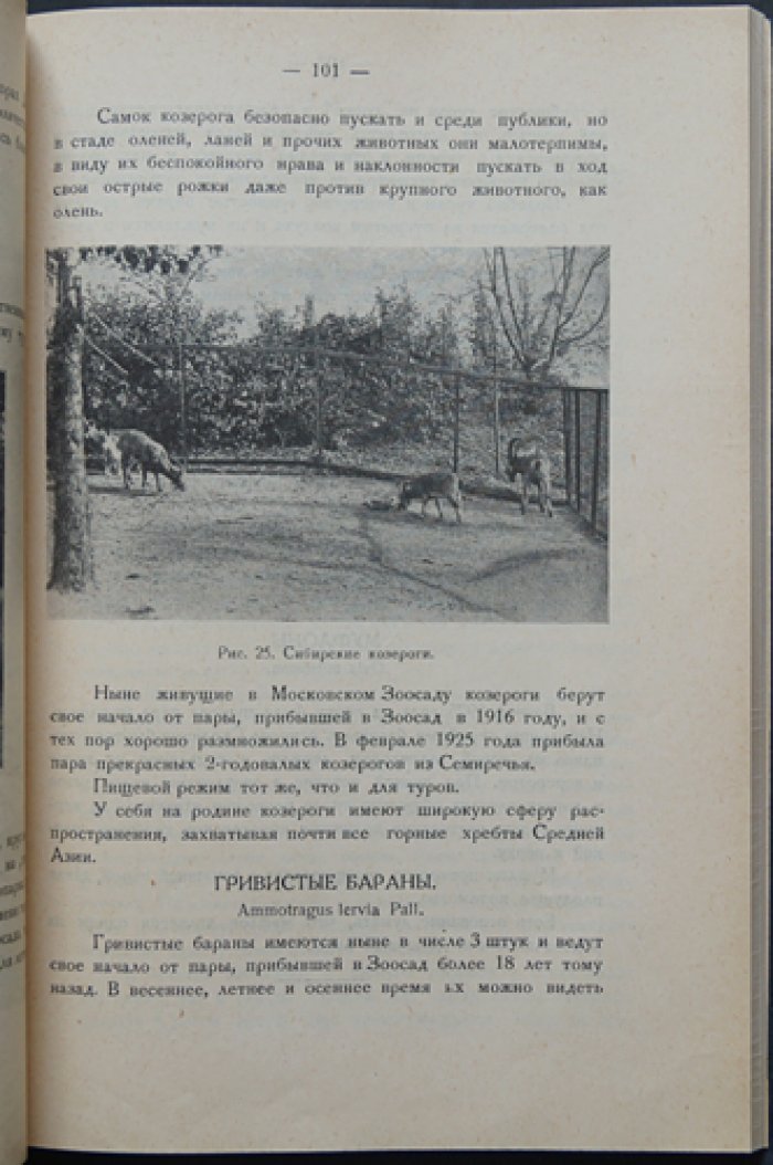 Московский Зоосад: книга о жизни Московского зоопарка (иллюстрированный сборник статей)