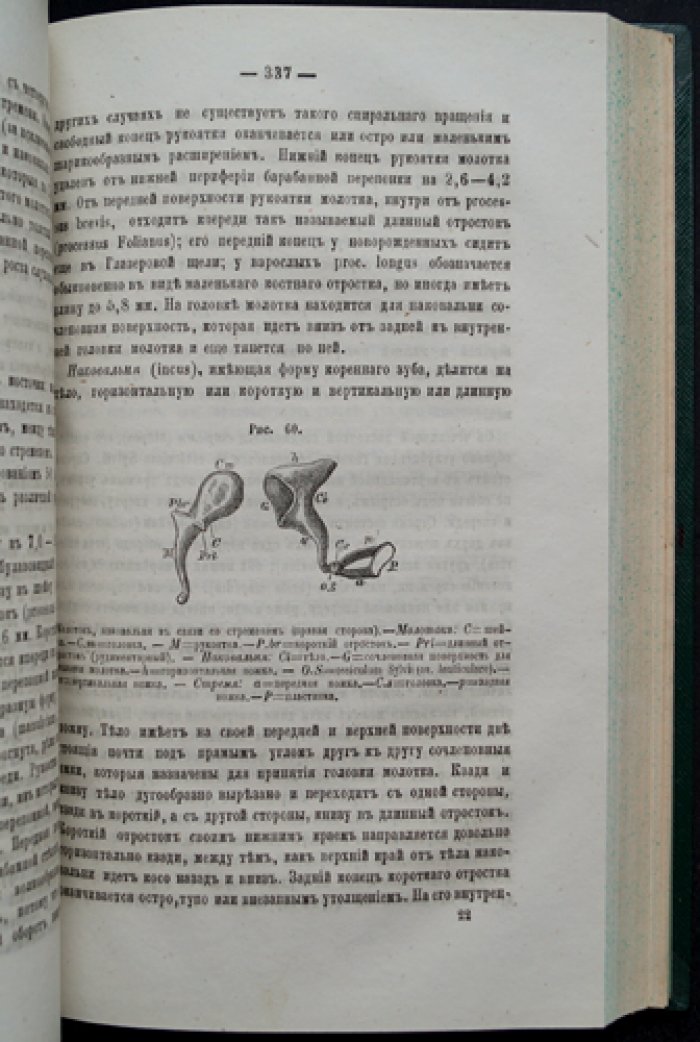 Учебник ушных болезней (практическое руководство по диагностике и лечению слуховых нарушений)