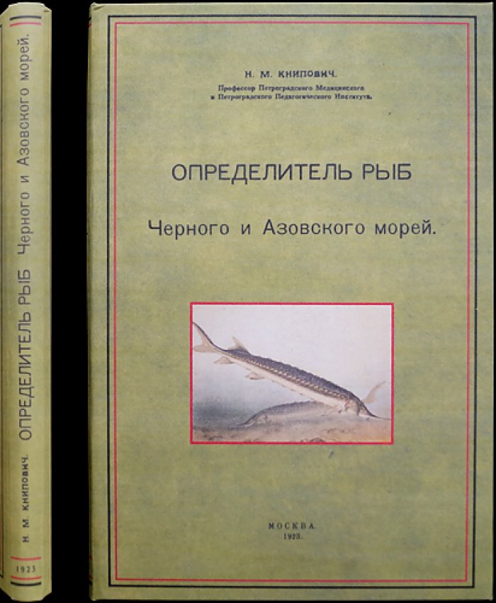 Определитель рыб Черного и Азовского морей (с 87 рисунками в тексте)