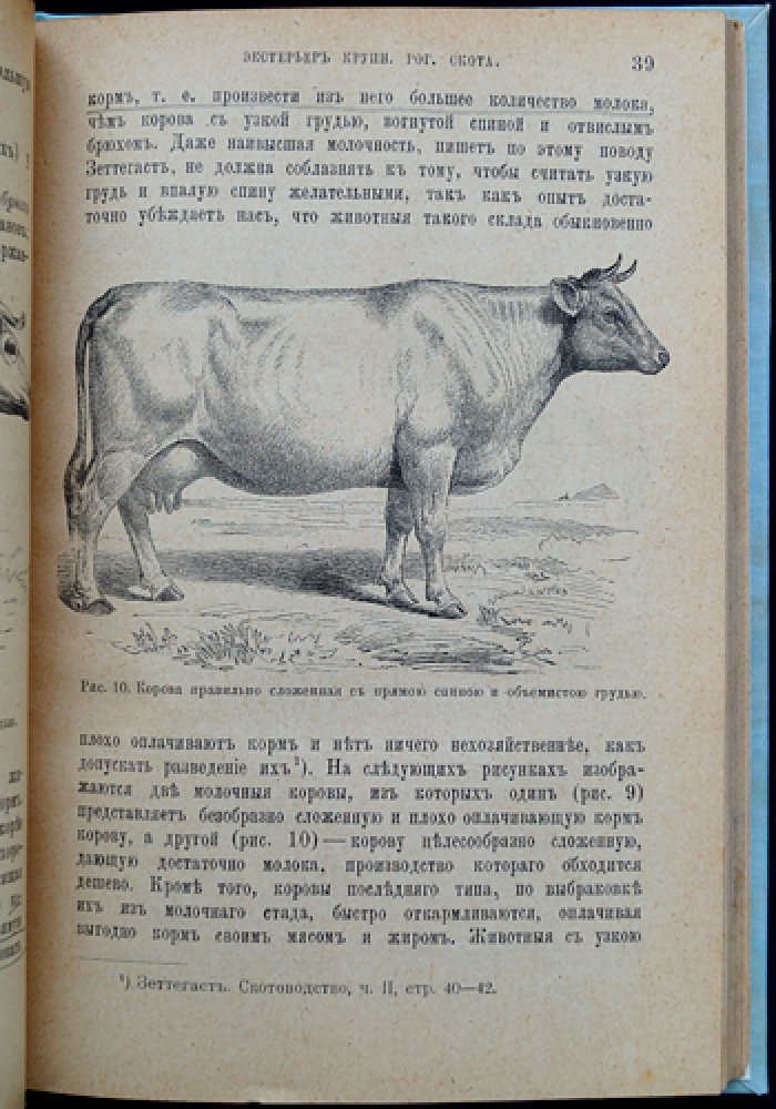 Крупный рогатый скот: учебник по скотоводству (5-е издание, дополненное)