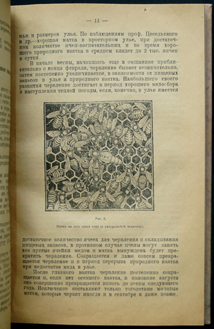 Пчела и пчеловод: руководство к правильному пчеловождению (2-е издание, дополненное)