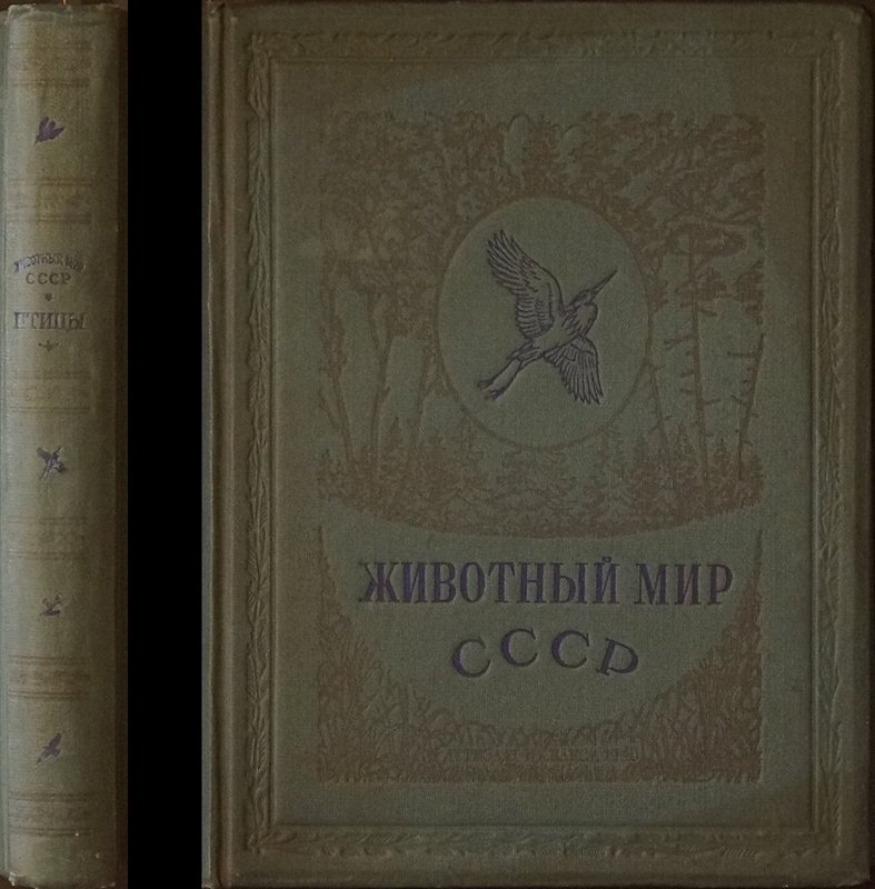 Животный мир СССР: богато иллюстрированная энциклопедия животных (под ред. А.Н. Формозова и Б.М. Житкова, 1940)