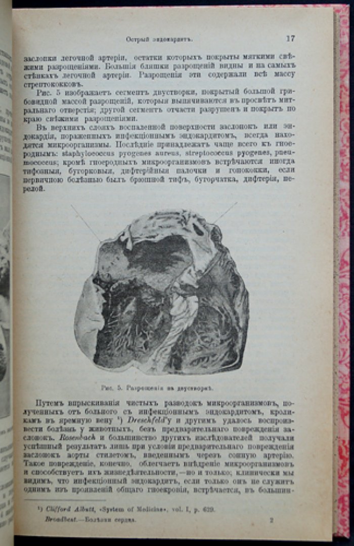 Болезни сердца: предсказание течения и подходы к лечению (лекции по вопросам прогноза при пороках клапанов и структурных изменениях)