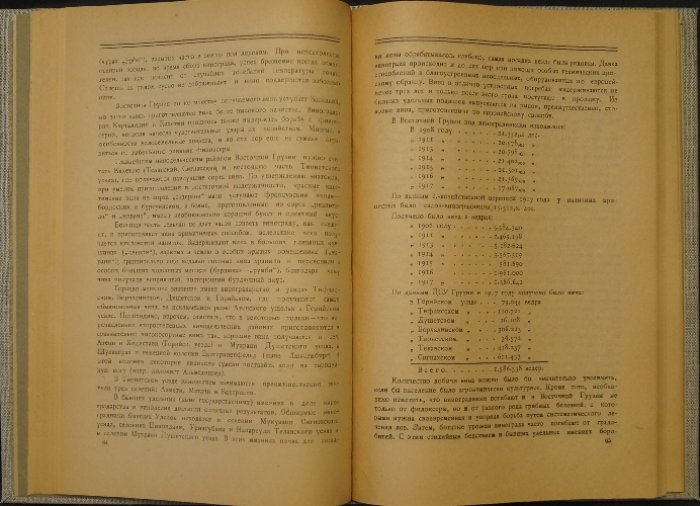 Экономическая география Грузии (первое издание, 1924) — исследование по территории, населению, хозяйству и торговле