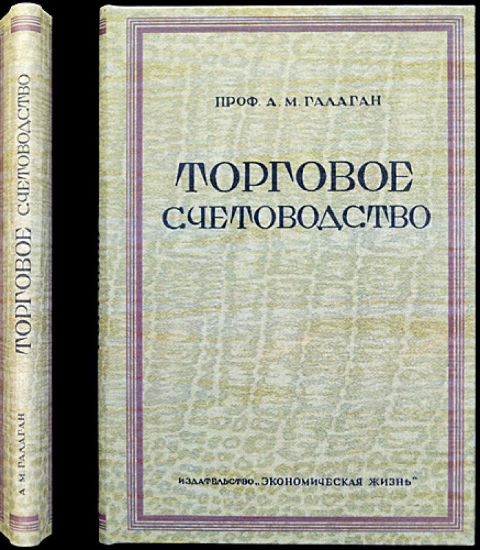 Торговое счетоводство: учет операций в товарном хозяйстве (практика и теория)