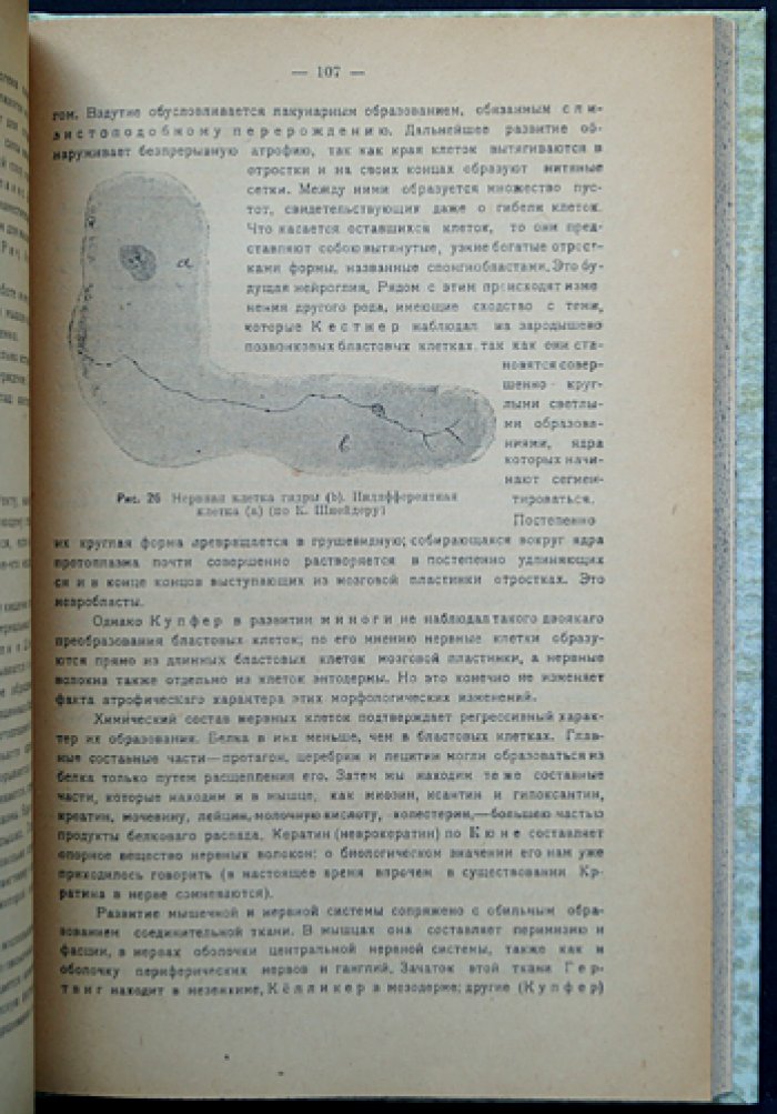 М.С. Мильман. Учение о росте, старости и смерти: биологическая теория развития и старения