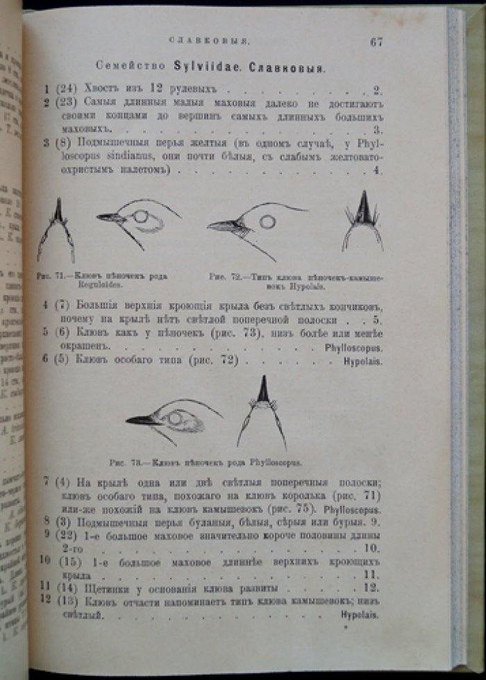 Определитель европейских птиц (2-е изд., исправленное и дополненное) — с иллюстрациями и схемами