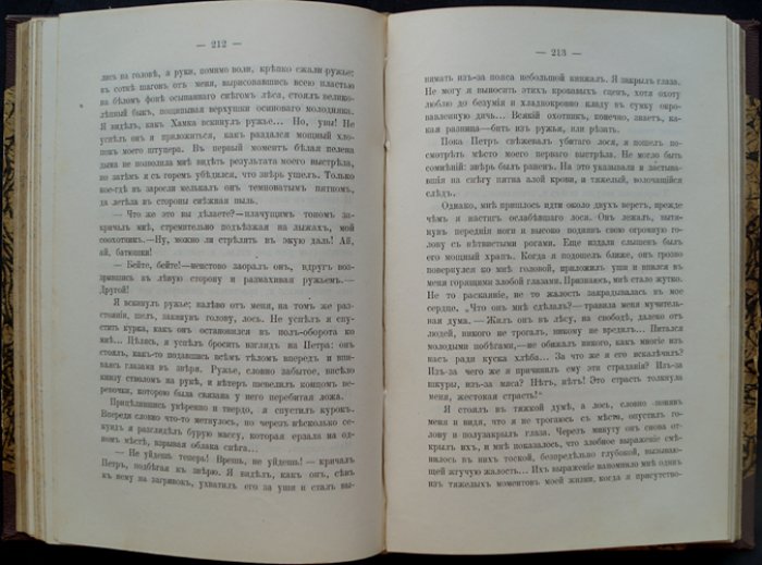 Е. Н. Опочинин. На родной земле. Очерки и рассказы. Поездка в Михайловское