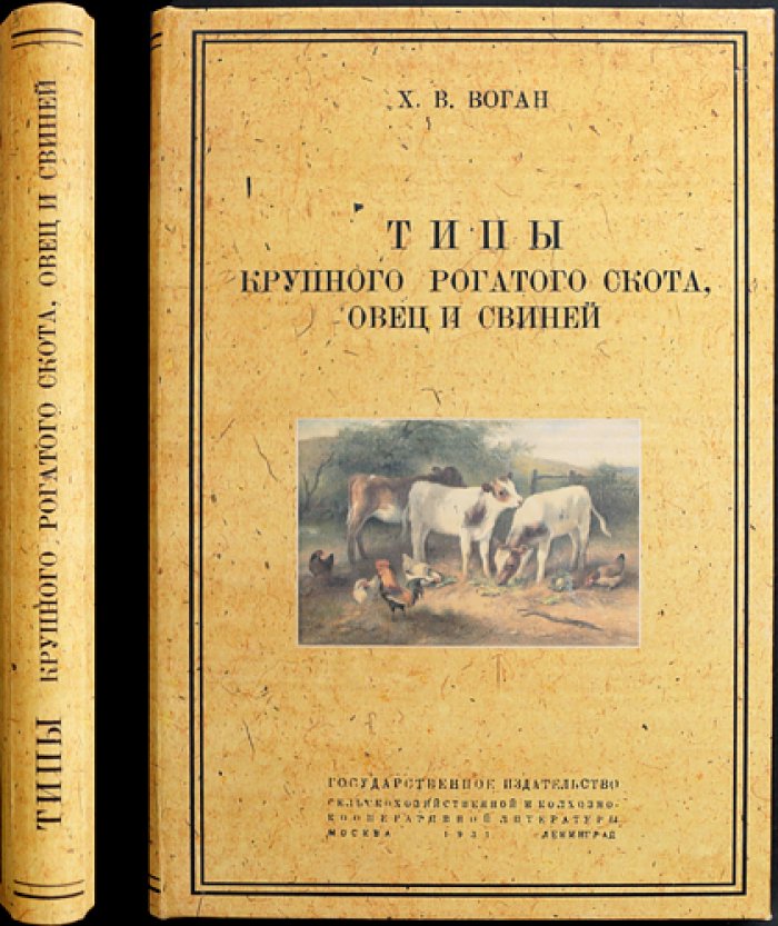Типы крупного рогатого скота, овец и свиней (по материалам американского скотоводства)