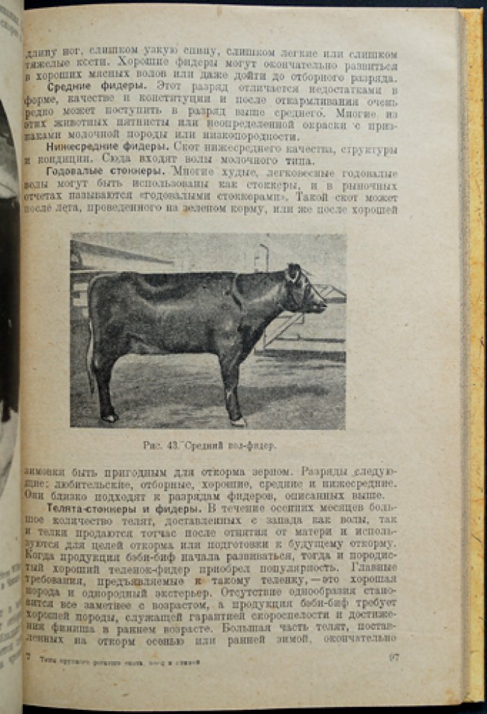 Типы крупного рогатого скота, овец и свиней (по материалам американского скотоводства)