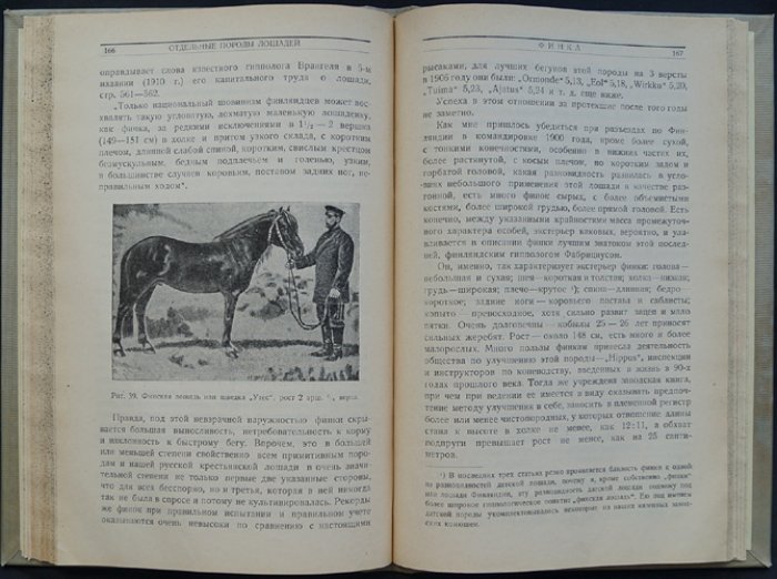 Конские породы: классификация, происхождение и описание 48 пород (3-е издание, 1928)