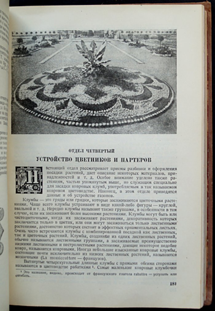 Цветоводство. Подготовка плантаций, выращивание рассады и культур в открытом и защищённом грунте