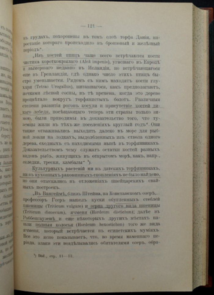 Первобытная археология: курс лекций (Московский Археологический институт)