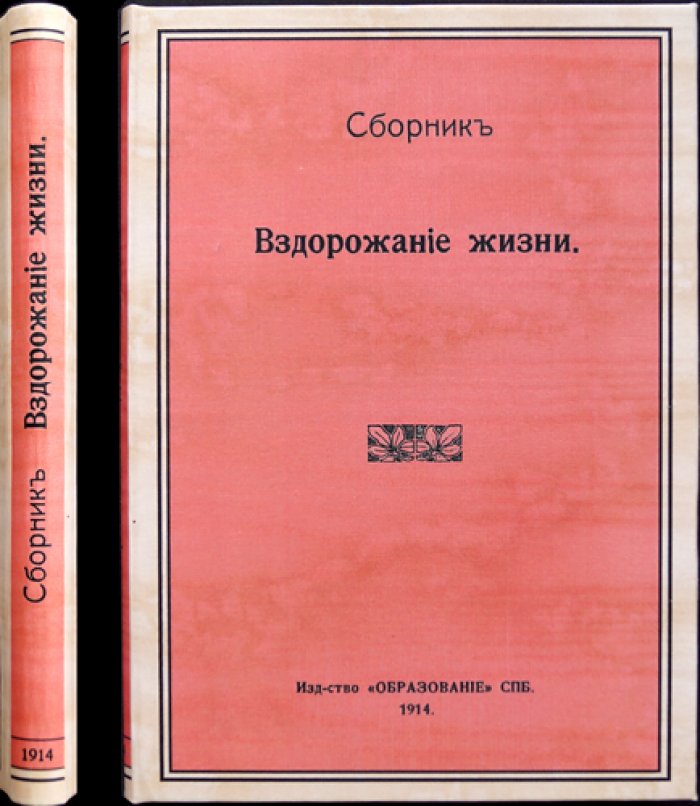 Вздорожание жизни: новые идеи в экономике (сборник IV)