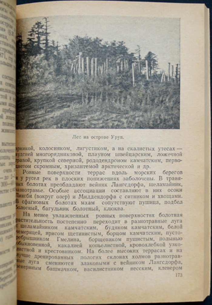Курильские острова: география, геология и история Курильской гряды (полное описание)