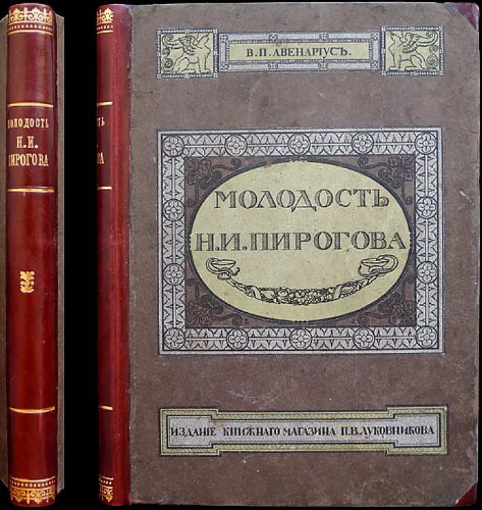 Молодость славного русского хирурга и педагога Н. И. Пирогова: биографический рассказ для юношества