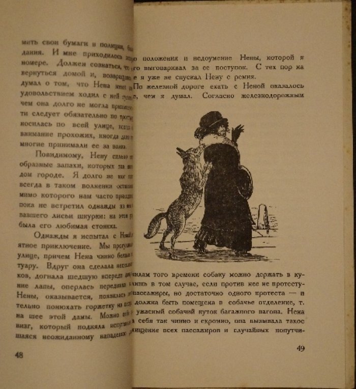Нена: повесть о собаке (В. М. Зензинов)