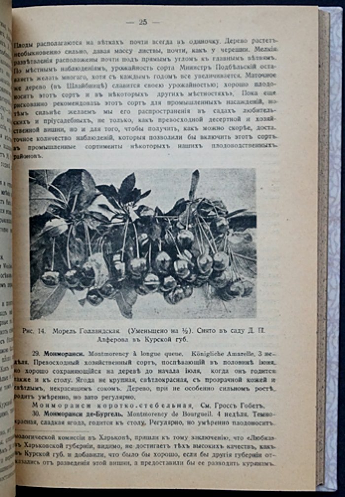 Вишня и её промышленная культура: разведение, классификация, уход и защита (1-е издание 1915 г.)