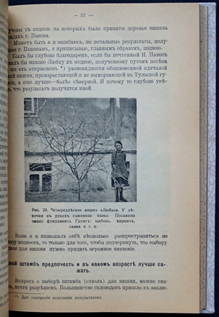 Вишня и её промышленная культура: разведение, классификация, уход и защита (1-е издание 1915 г.)
