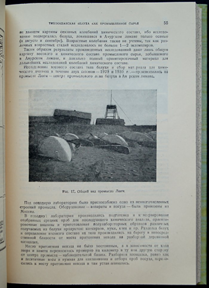 Морские млекопитающие Дальнего Востока: сырьевая база и промышленное использование (сборник трудов экспедиции, 1929–1930)