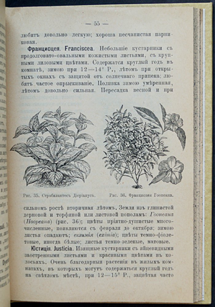 Краткое руководство по уходу за комнатными растениями и устройству цветников (для дома, дачи и палисадника)