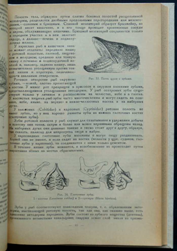 Рыбоводство: научные основы и практическое разведение рыбы (классическое руководство)