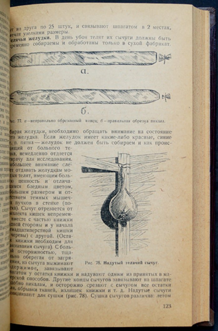 Кишечное дело: производство, товароведение и ветеринарно-санитарная экспертиза отходов убоя скота