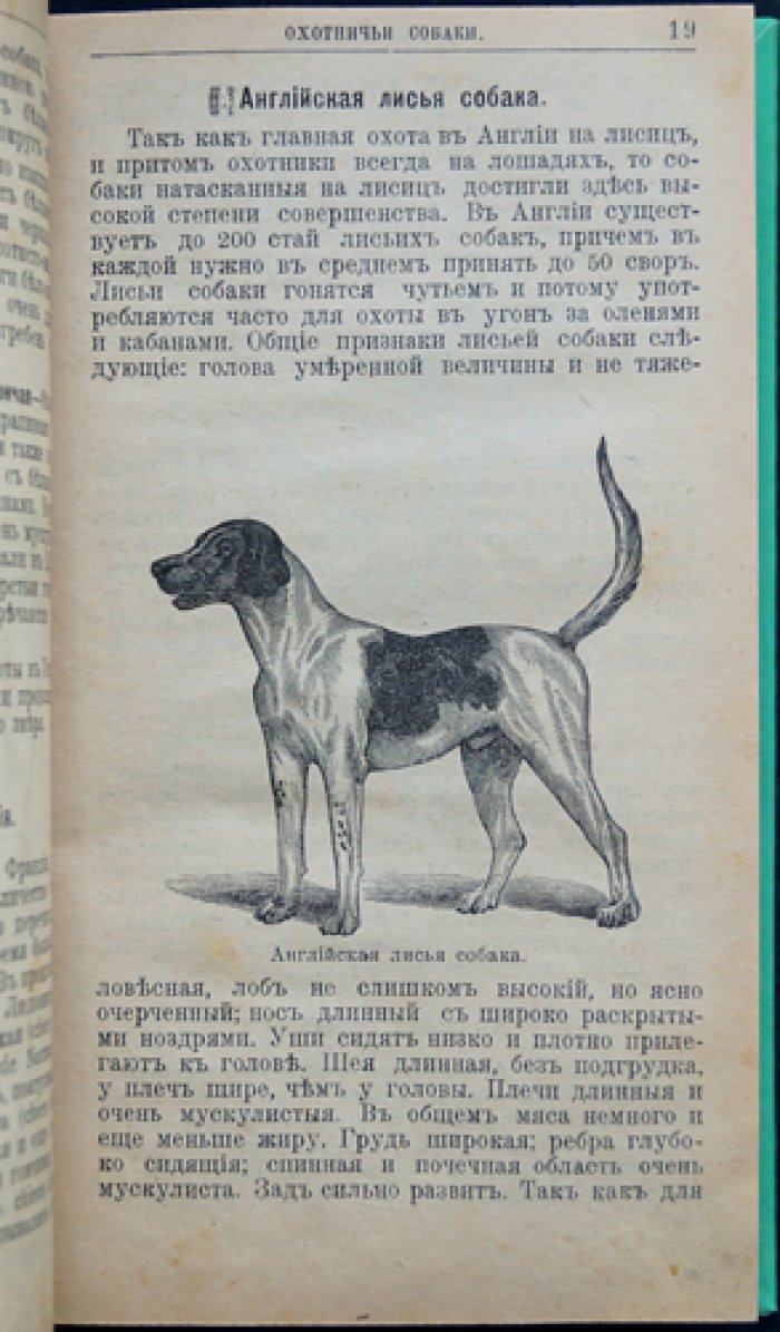 Крихлер. Породы собак: охотничьи, сторожевые, защитные и комнатные. Дрессировка и лечебник