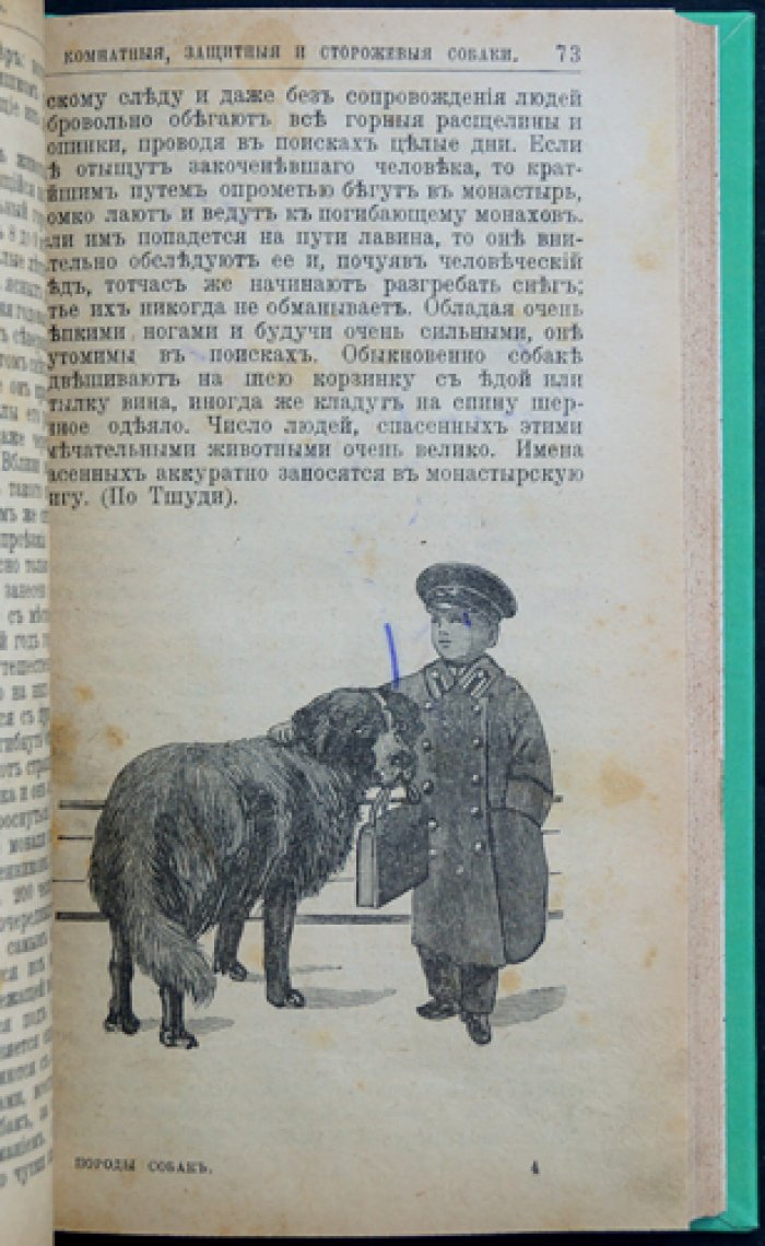 Крихлер. Породы собак: охотничьи, сторожевые, защитные и комнатные. Дрессировка и лечебник
