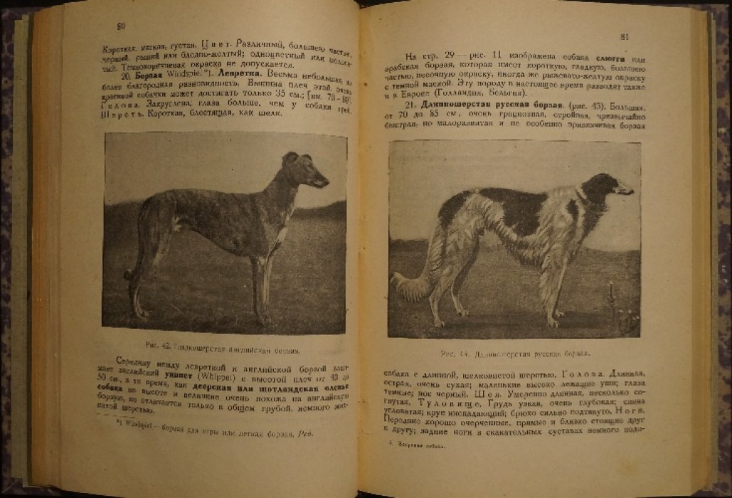 Георг Мюллер. «Болезни собак» и «Здоровая собака»: кинологические труды в 2 книгах