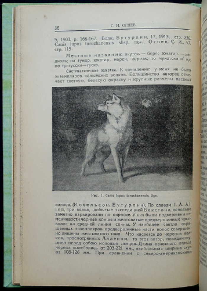 Млекопитающие Северо-Восточной Сибири. Очерки и систематический обзор (с 18 рисунками и 20 таблицами)
