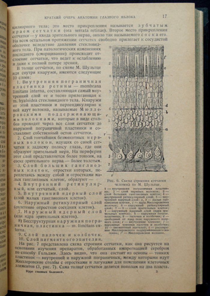 Курс глазных болезней. Третье вновь просмотренное и дополненное издание