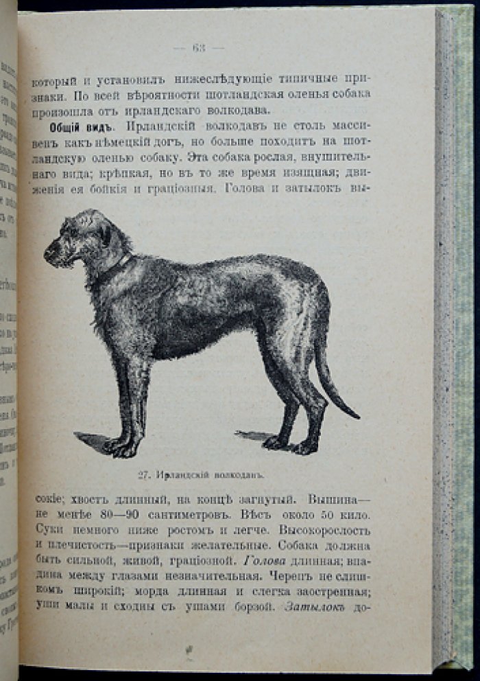 Ф. П. Крихлер. Породы собак (охотничьи, сторожевые, защитные и комнатные). Дрессировка и лечебник