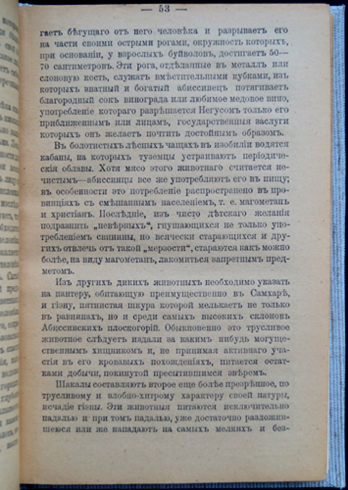 Наши «черные единоверцы»: страна, государственный строй и племена