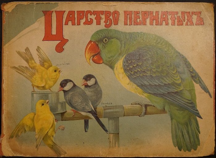 Царство пернатых. Картонная книжка-раскладушка с цветными литографиями (1917)