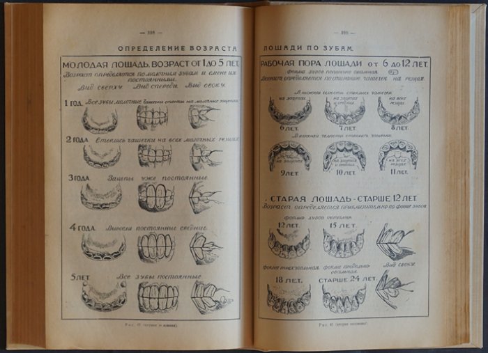 Крестьянское хозяйство: краткая сельскохозяйственная энциклопедия для нечерноземной полосы СССР (5-е изд., 1928)