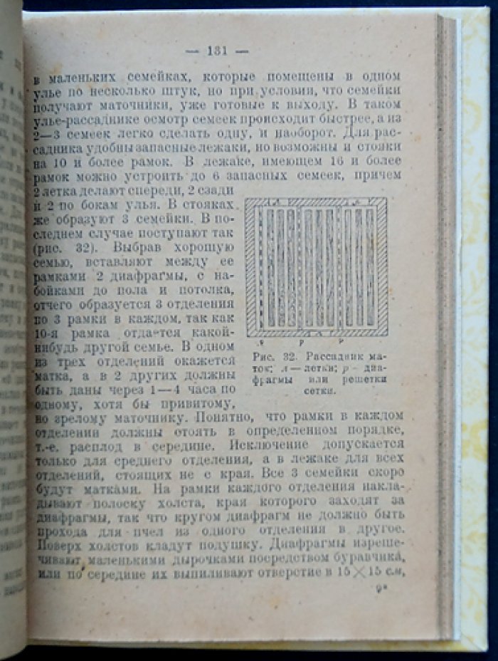 Руководство по пчеловодству для практиков (с рисунками и практическими указаниями)