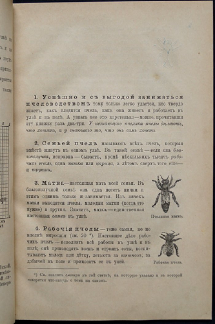 Как водить пчел: практическое руководство по пчеловодству (иллюстрированное издание)