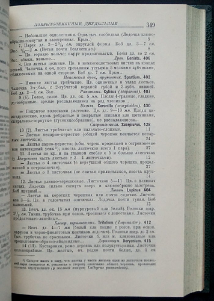 Определитель высших растений Европейской части СССР (издание 1928 года)